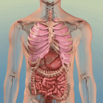 Inmunoterapia: una nueva frontera en el tratamiento del cáncer de pulmón en Tijuana